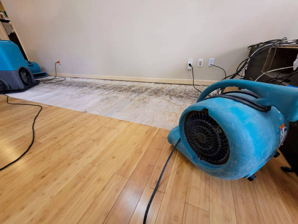 Reliable Flood Damage Restoration contractor in Campbell, OH by Hirex Water Damage