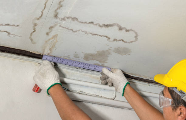 Affordable Water Damage Repair solutions in Campbell, OH